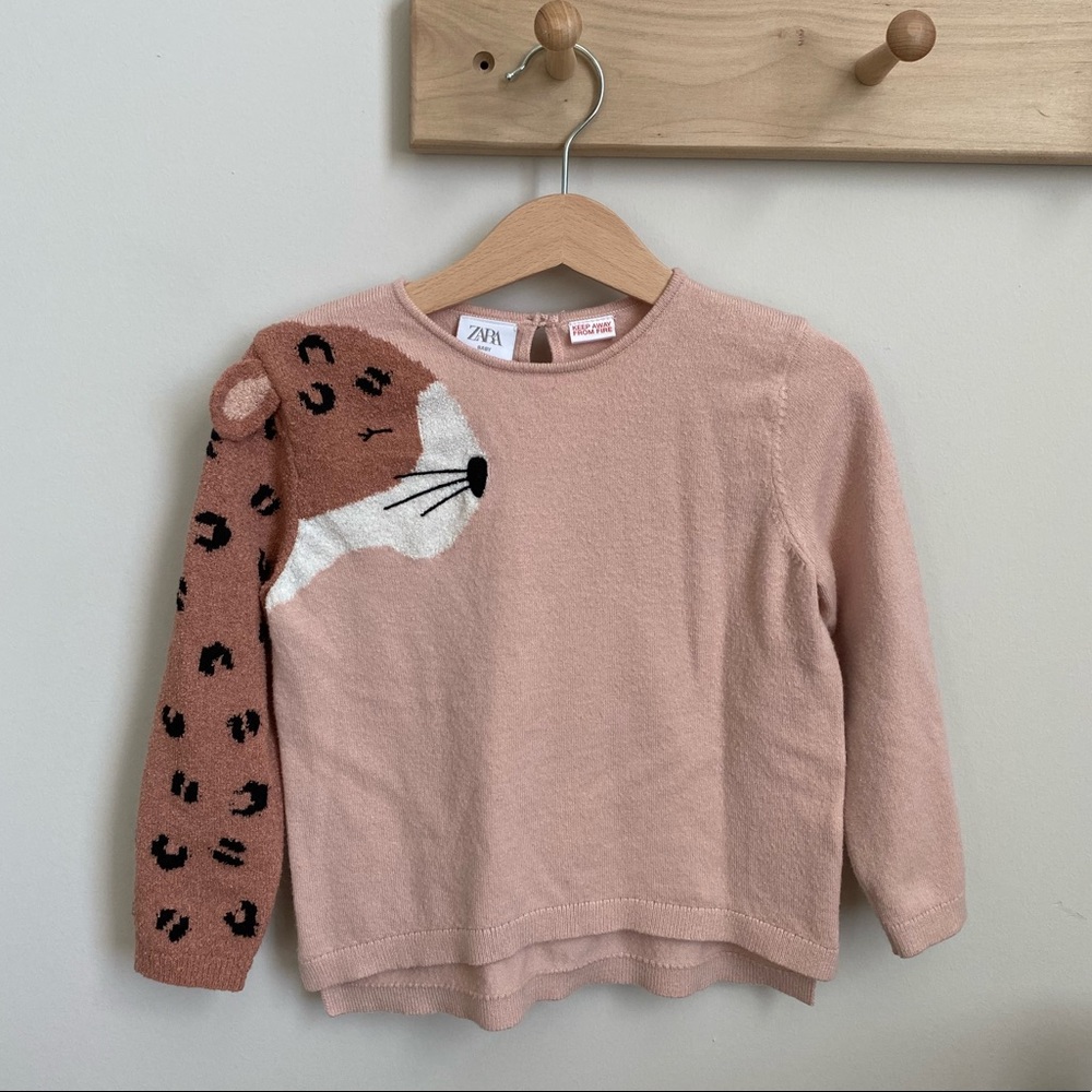 Zara girls sweater